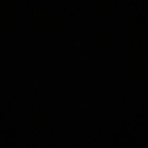 Meet your Posher, Hunter